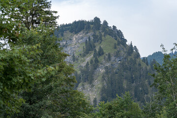 Scenic mountain view surrounded by trees in a serene natural landscape on an overcast day