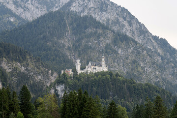 Majestic castle perched on a mountain peak surrounded by lush forests and towering cliffs in...