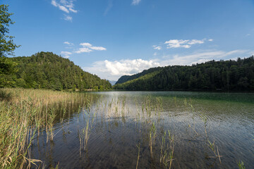 Scenic view of tranquil lake surrounded by lush green forests and mountains under a clear blue sky