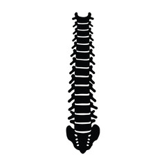 Simple black and white illustration of a human spinal column anatomy