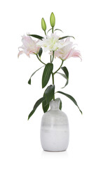 Beautiful lily flowers in vase on white background