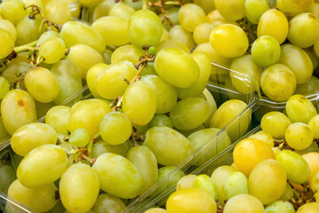 Fresh green grapes in plastic trays at a market stall