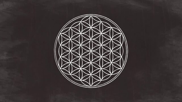 Flower of Life Rotation on Black Chalkboard Background(10s Loop)