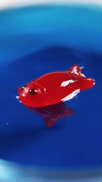 A single, red Swedish Fish swimming in a sea of blue Jell-O.