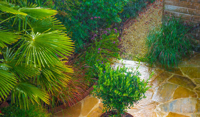 Green and colorful garden in storm and a heavy rain shower in autumn, Almere, Flevoland, The...