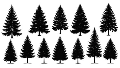 Obraz premium Collection of silhouette evergreen trees, varying shapes, dark on white