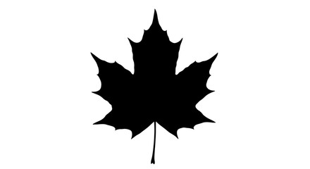 Bold black maple leaf silhouette symbolizing autumn and nature's beauty