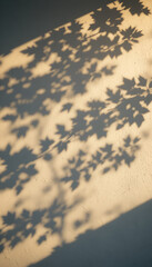 Sun-Kissed Leaves Creating Shadow Patterns