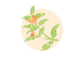 金木犀の手書きイラスト