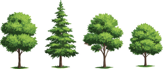Different tree types, coniferous and deciduous trees, foliage illustration, landscaping design, garden planning asset, vector plants, outdoor environment, nature elements, greenery icons