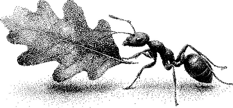 Dotwork illustration of an ant carrying leaf &ndash; intricate nature and persistence depiction