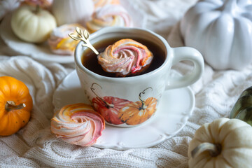 Autumn still life with rowan berries and pumpkins. October.