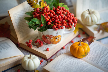 Autumn still life with rowan berries and pumpkins. October.
