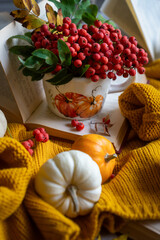 Autumn still life with rowan berries and pumpkins. October.