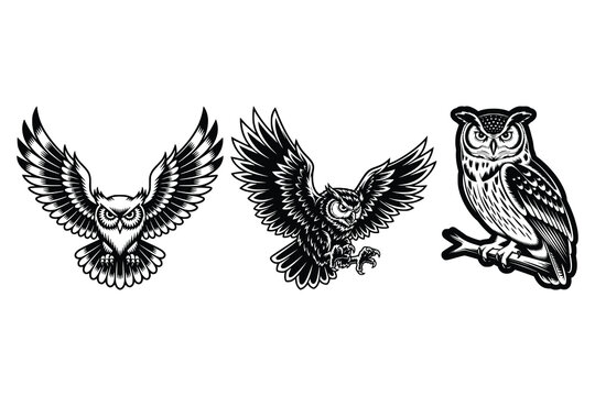 Detailed owl sketch in black and white. The owl sketch shows intricate feather details. The owl's eyes and beak are prominent in this black and white sketch. Vintage vector illustration.