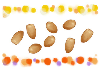 nuts on white background