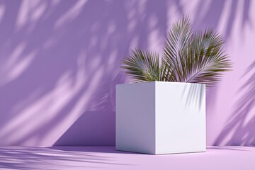 White cube planter with palm fronds against lavender wall, shadowed by more fronds