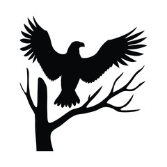 Obraz premium eagle with wings