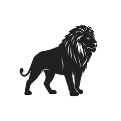 lion vector illustration