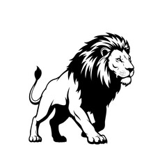lion vector illustration