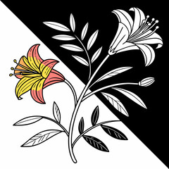 Yellow and pink lily with black and white background