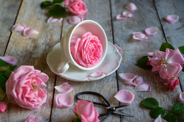 A cup of aromatic tea, a book and a rose on the table.