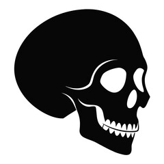 human skull with a skull