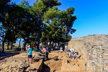 Fototapety na wymiar - Fototapeta24.pl