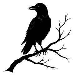 crow on a branch