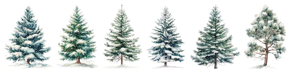 Fototapeta premium PNG Snow-covered evergreen trees illustration, element set on transparent background