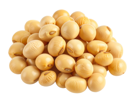 Pile of Raw Yellow Soybeans (Glycine Max) Close-Up | Uncooked, High-Protein Vegan Pulses Isolated on White