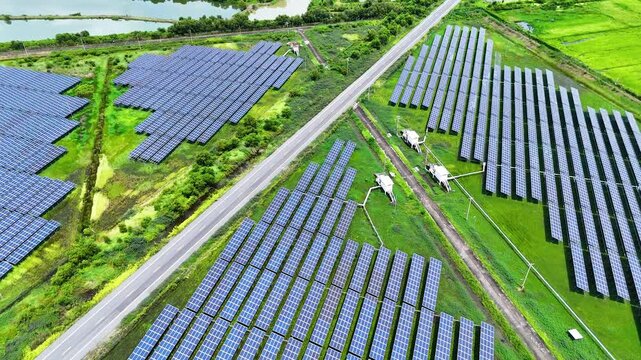 Aerial drone footage of a straight road cutting through large solar farms and green countryside in Thailand, showcasing sustainable energy, modern infrastructure