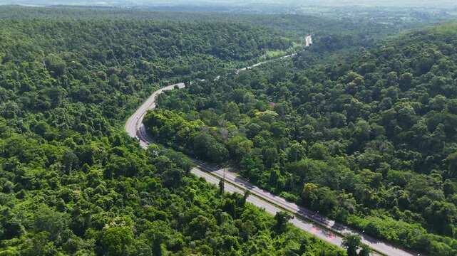 Drone footage of the aerial view of a winding road cutting through lush green forest. Scenic highway number 304 in Thailand links the Bangkok area to Nakhon Ratchasima in the northeastern region