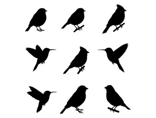 Silhouette Bird Collection Elegant Avian Outlines for Design Projects and Nature Inspiration