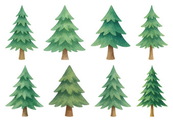 Fototapeta premium PNG Watercolor evergreen tree illustrations, element set on transparent background