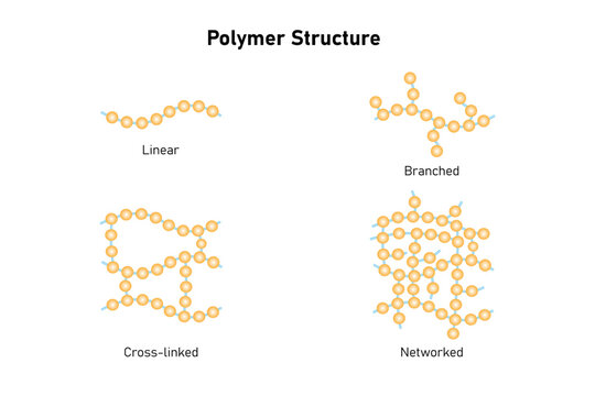 Types of Polymer Structure Science Design. Vector Illustration.