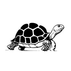 Aldabra Tortoise. Aldabra Tortoise simple black and white line art vector logo