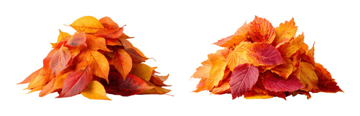 Fototapeta premium Vibrant Autumn Leaf Piles for Seasonal Designs - PNG set Transparent background