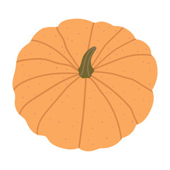 Orange pumpkin isolated on white background. Autumn harvest. Vector illustration, hand drawn, flat, doodle design. Thanksgiving, Halloween, sticker, seasonal pumpkin design. Autumn harvest