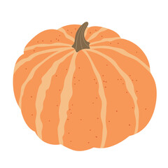 Orange pumpkin isolated on white background. Autumn harvest. Vector illustration, hand drawn, flat, doodle design. Thanksgiving, Halloween, sticker, seasonal pumpkin design. Autumn harvest