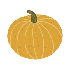 Orange pumpkin isolated on white background. Autumn harvest. Vector illustration, hand drawn, flat, doodle design. Thanksgiving, Halloween, sticker, seasonal pumpkin design. Autumn harvest