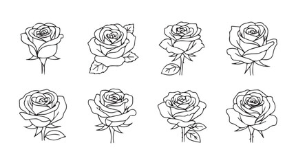 Collection of elegant rose line drawings with subtle sketchy details perfect for design projects vector