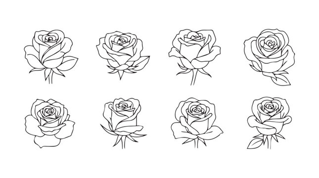 Collection of hand drawn rose flowers and leaves outline art elements for romantic designs vector
