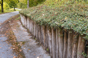 Curved road with scattered autumn leaves next to a sloped retaining wall built with vertical logs supporting a green hedge