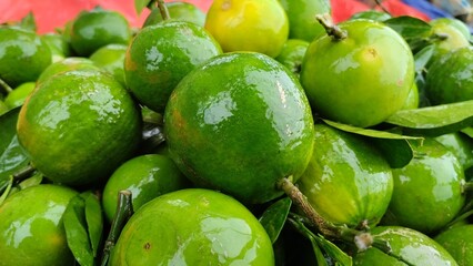 Pile of Fresh Green Oranges with Leaves Keywords: orange, citrus, fruit, green, fresh, healthy