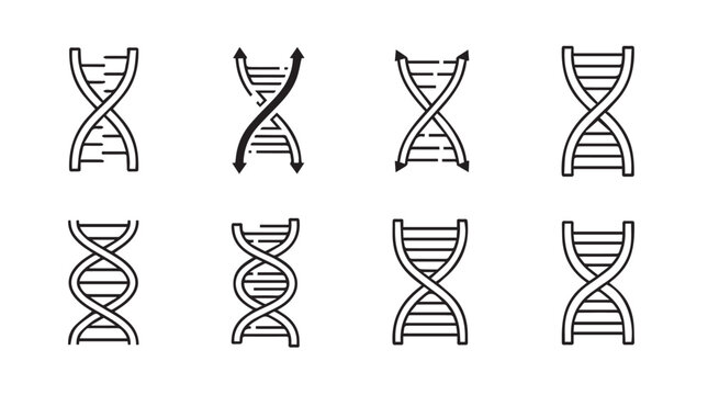 Collection of hand-drawn dna double helix icons representing genetics biology science research vector