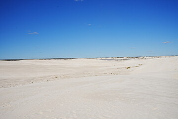 Sand dunes of Lancelin in Perth, Australia - オーストラリア パース ランセリン砂丘


