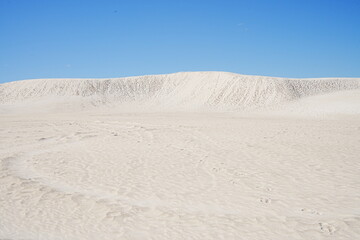 Sand dunes of Lancelin in Perth, Australia - オーストラリア パース ランセリン砂丘