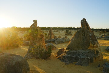 Pinnacles National Park in Perth, Australia - オーストラリア パース...