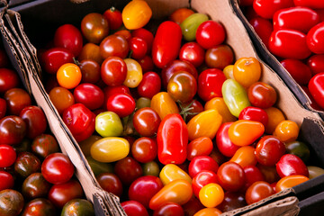 Variety of organic tomatoes at Torvehallerne market in Copenhagen, Denmark.